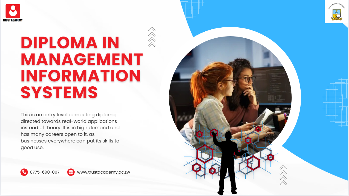 Diploma in Management Information Systems at Trust Academy Zimbabwe